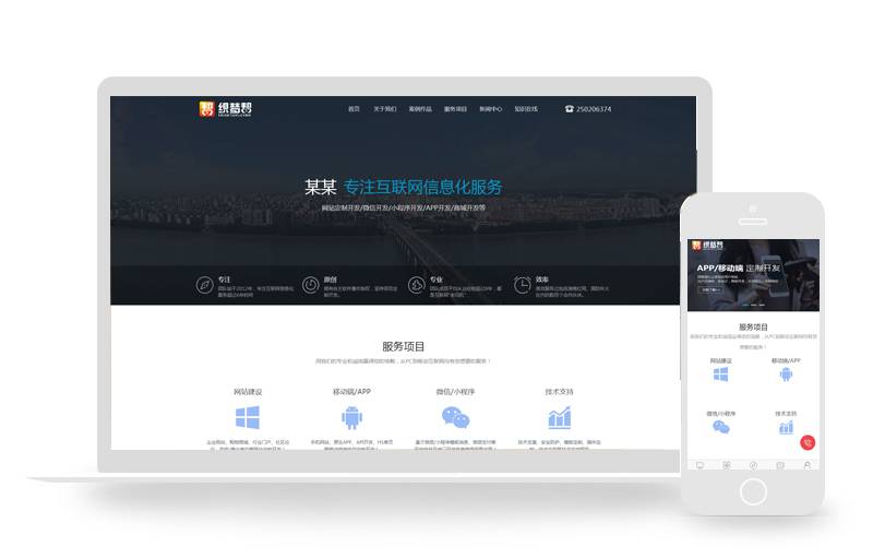 网络公司信息化服务类织梦模板(带手机端)